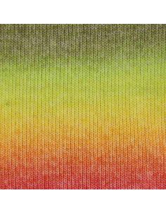 Scheepjes Stone Washed Flow Yarn 2