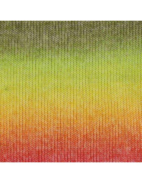 Scheepjes Stone Washed Flow Yarn