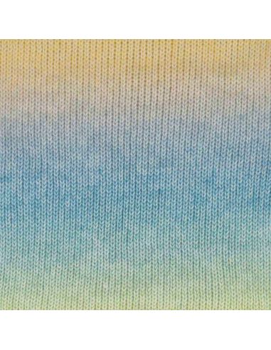 Scheepjes Stone Washed Flow Yarn