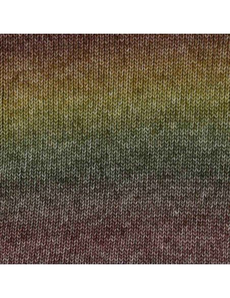 Scheepjes Stone Washed Flow Yarn