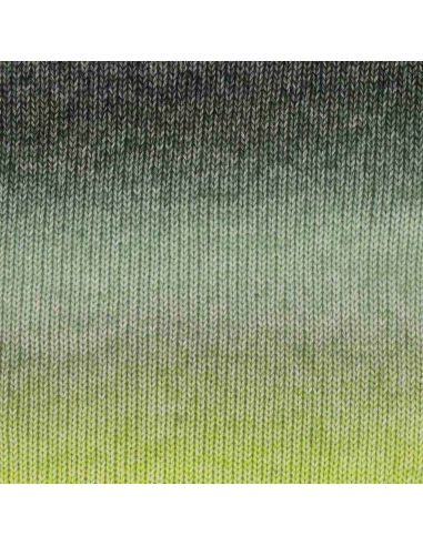 Laine Scheepjes Stone Washed Flow