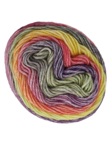 Scheepjes Stone Washed Flow Yarn