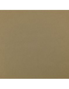 Scuba fabric with peach skin effect - Beige 2