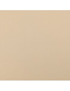 Scuba fabric with peach skin effect - Beige 2