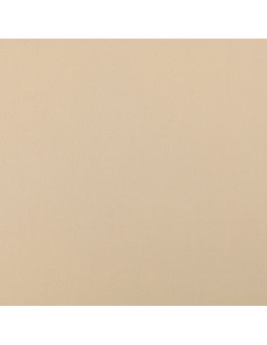 Scuba fabric with peach skin effect - Beige