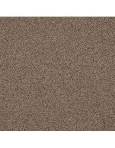 Double-sided Teddy fleece fabric - Taupe