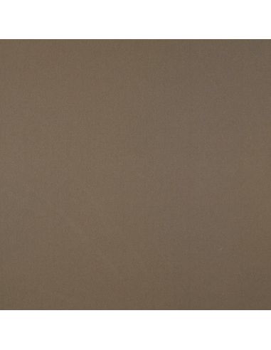 Micro satin fabric with a silk touch - Taupe